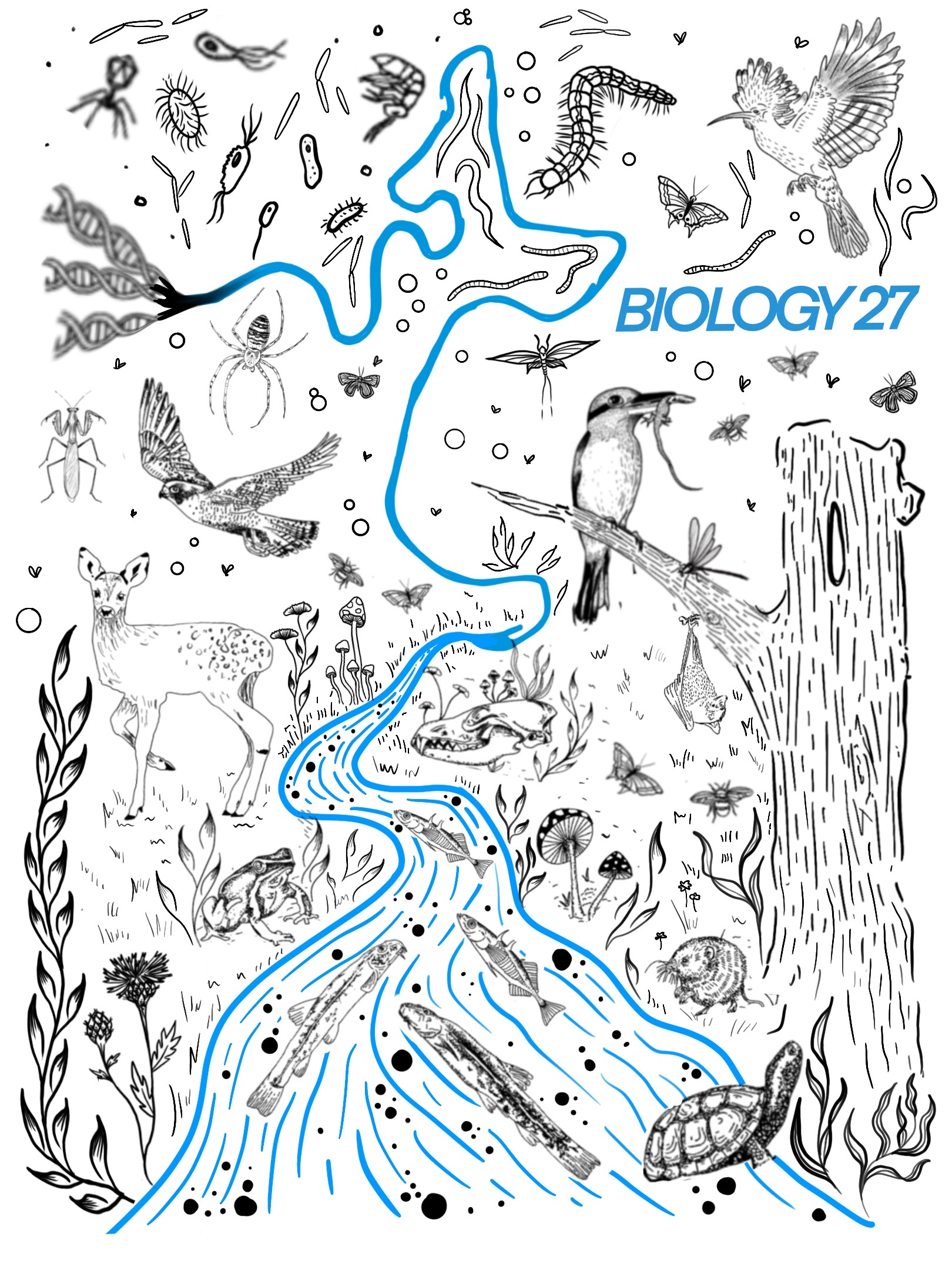 Biology27 conference artwork: an illustrated river of life running from DNA and microorganisms through insects, birds and mammals to fish and a turtle